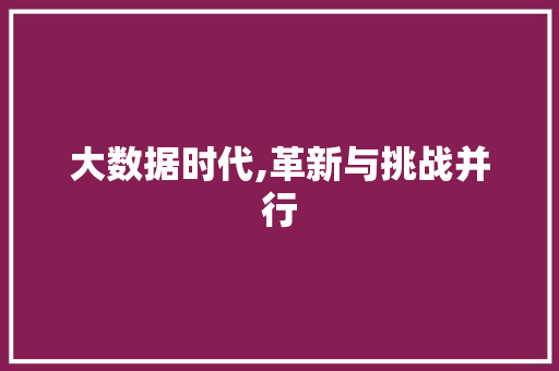 大数据时代,革新与挑战并行