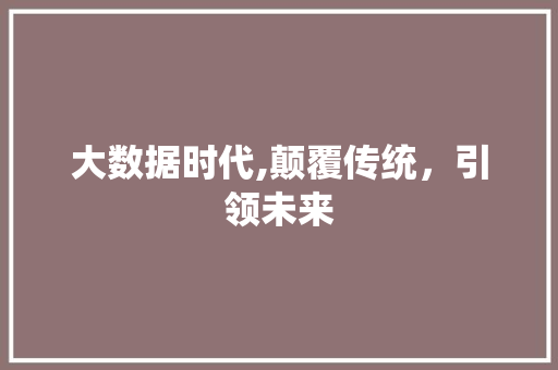 大数据时代,颠覆传统，引领未来 SEO教程