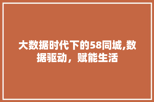 大数据时代下的58同城,数据驱动，赋能生活 服务器/数据库