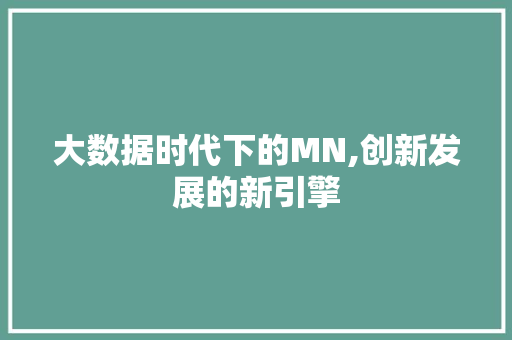 大数据时代下的MN,创新发展的新引擎