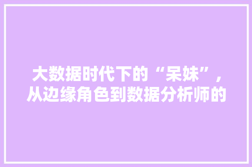 大数据时代下的“呆妹”,从边缘角色到数据分析师的华丽转身