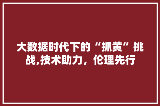 大数据时代下的“抓黄”挑战,技术助力，伦理先行