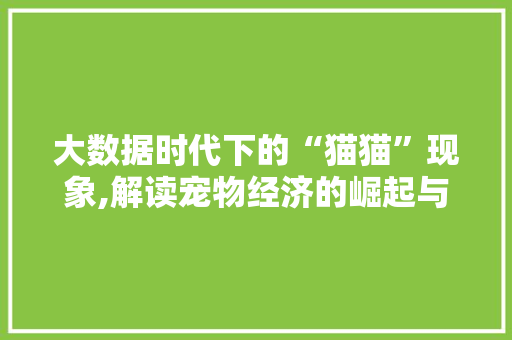 大数据时代下的“猫猫”现象,解读宠物经济的崛起与影响