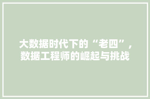 大数据时代下的“老四”,数据工程师的崛起与挑战 SEO教程
