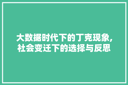 大数据时代下的丁克现象,社会变迁下的选择与反思