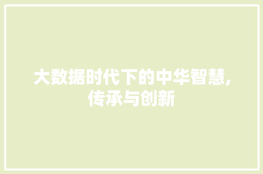 大数据时代下的中华智慧,传承与创新 SEO教程