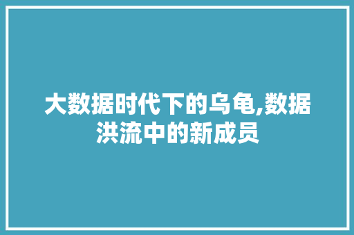 大数据时代下的乌龟,数据洪流中的新成员