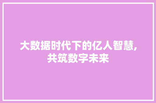 大数据时代下的亿人智慧,共筑数字未来