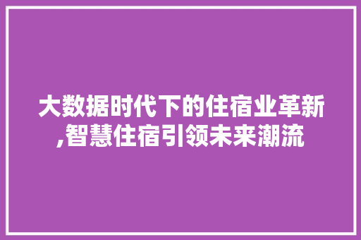 大数据时代下的住宿业革新,智慧住宿引领未来潮流 WordPress教程