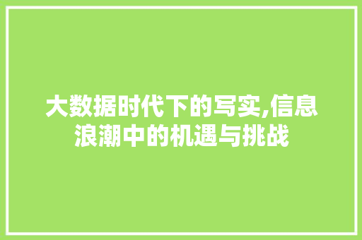 大数据时代下的写实,信息浪潮中的机遇与挑战 建站教程