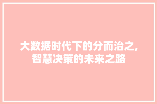 大数据时代下的分而治之,智慧决策的未来之路