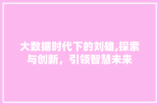 大数据时代下的刘雄,探索与创新，引领智慧未来