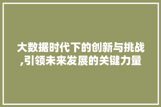 大数据时代下的创新与挑战,引领未来发展的关键力量