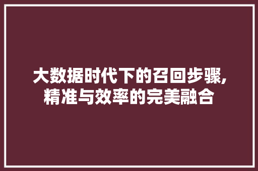 大数据时代下的召回步骤,精准与效率的完美融合 服务器/数据库