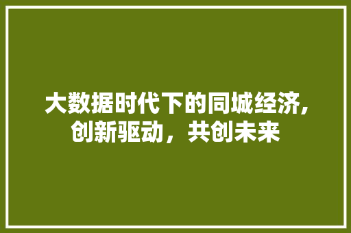 大数据时代下的同城经济,创新驱动，共创未来