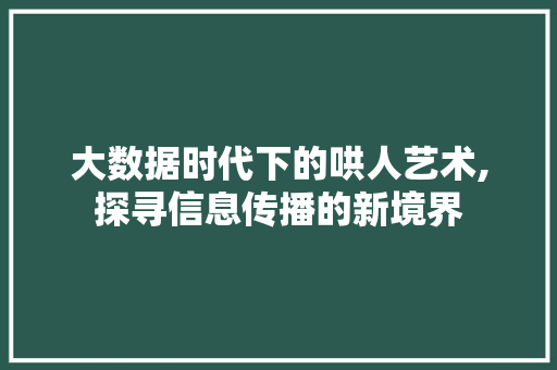 大数据时代下的哄人艺术,探寻信息传播的新境界