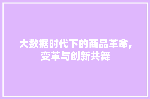 大数据时代下的商品革命,变革与创新共舞