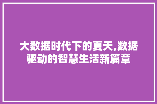 大数据时代下的夏天,数据驱动的智慧生活新篇章