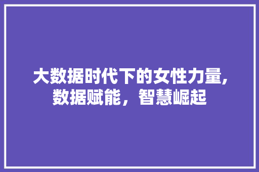 大数据时代下的女性力量,数据赋能，智慧崛起