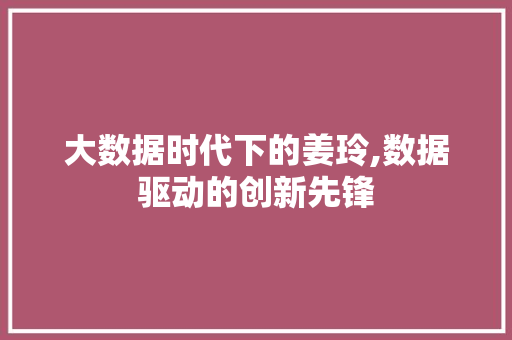大数据时代下的姜玲,数据驱动的创新先锋