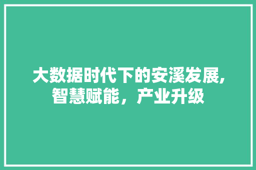 大数据时代下的安溪发展,智慧赋能，产业升级