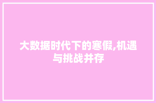 大数据时代下的寒假,机遇与挑战并存