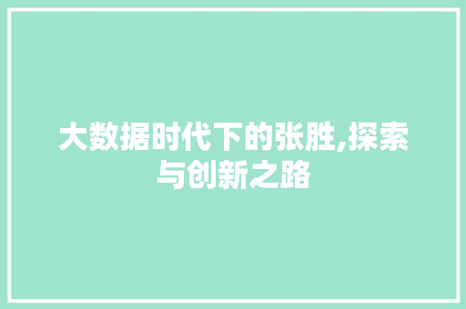 大数据时代下的张胜,探索与创新之路
