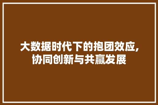 大数据时代下的抱团效应,协同创新与共赢发展