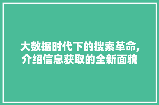 大数据时代下的搜索革命,介绍信息获取的全新面貌 WordPress教程