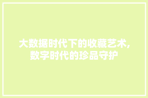 大数据时代下的收藏艺术,数字时代的珍品守护 SEO教程