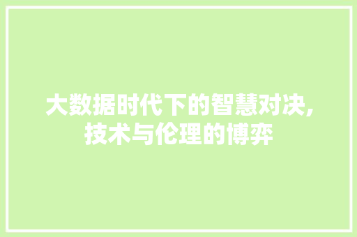 大数据时代下的智慧对决,技术与伦理的博弈