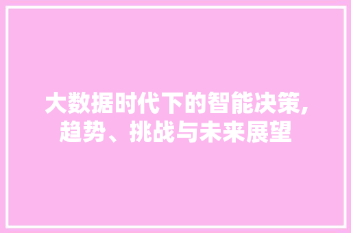 大数据时代下的智能决策,趋势、挑战与未来展望