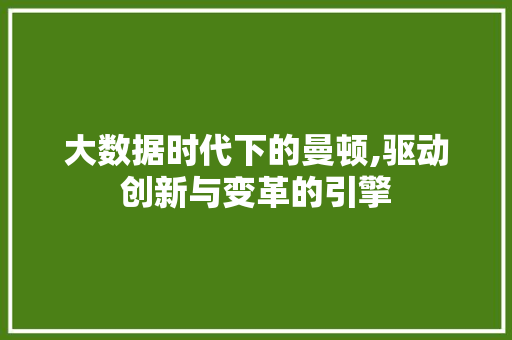 大数据时代下的曼顿,驱动创新与变革的引擎