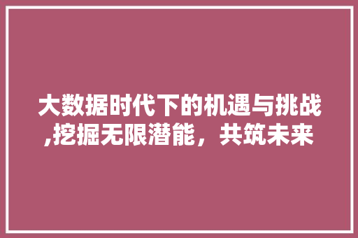 大数据时代下的机遇与挑战,挖掘无限潜能，共筑未来辉煌