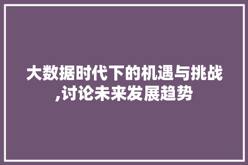 大数据时代下的机遇与挑战,讨论未来发展趋势