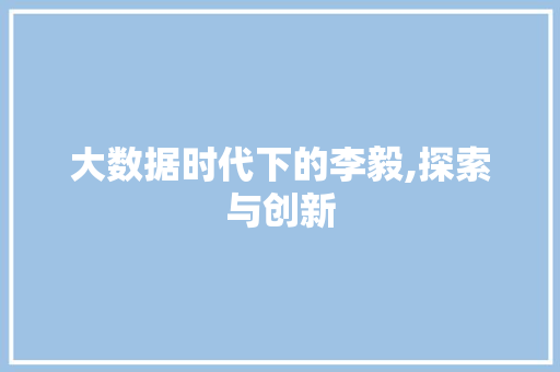 大数据时代下的李毅,探索与创新 友链在线