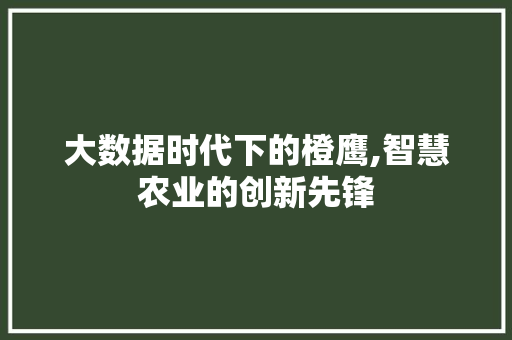 大数据时代下的橙鹰,智慧农业的创新先锋