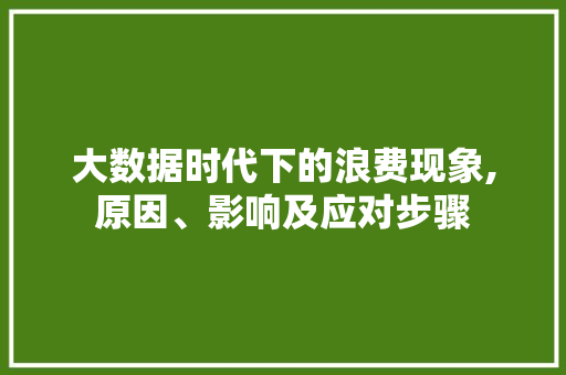 大数据时代下的浪费现象,原因、影响及应对步骤
