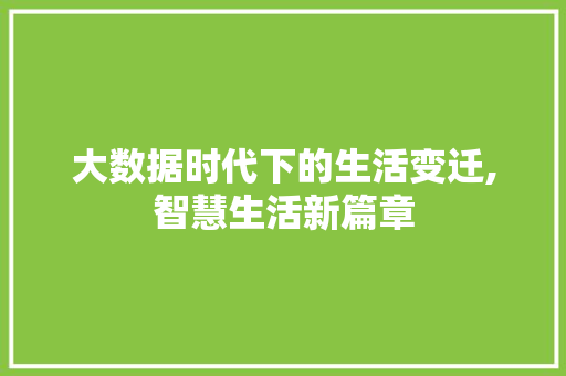 大数据时代下的生活变迁,智慧生活新篇章