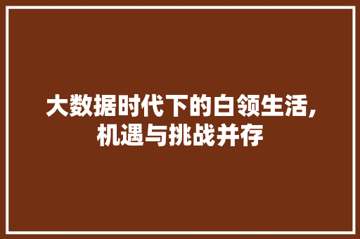 大数据时代下的白领生活,机遇与挑战并存