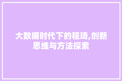 大数据时代下的程琦,创新思维与方法探索