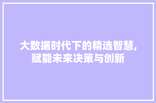 大数据时代下的精选智慧,赋能未来决策与创新