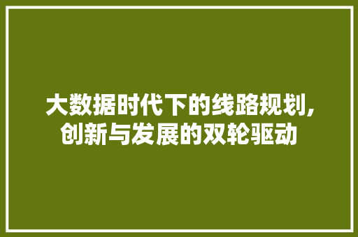 大数据时代下的线路规划,创新与发展的双轮驱动