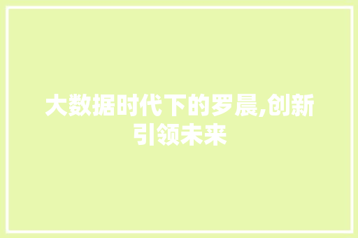 大数据时代下的罗晨,创新引领未来