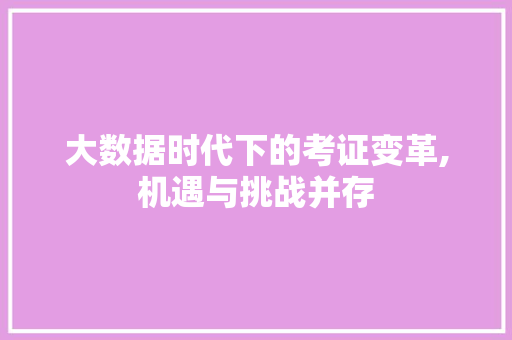 大数据时代下的考证变革,机遇与挑战并存