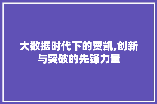 大数据时代下的贾凯,创新与突破的先锋力量 建站教程