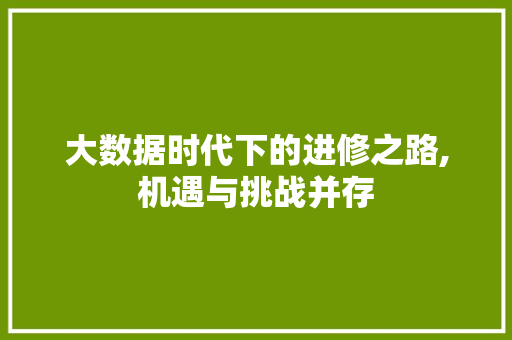 大数据时代下的进修之路,机遇与挑战并存