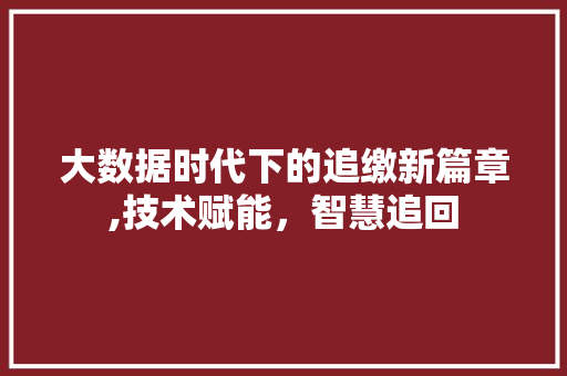 大数据时代下的追缴新篇章,技术赋能，智慧追回