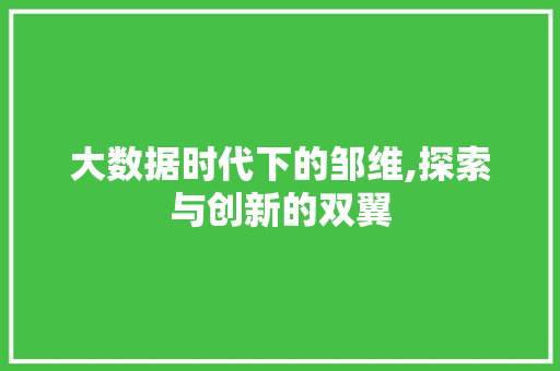 大数据时代下的邹维,探索与创新的双翼 SEO教程