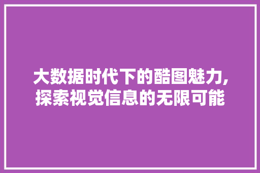 大数据时代下的酷图魅力,探索视觉信息的无限可能